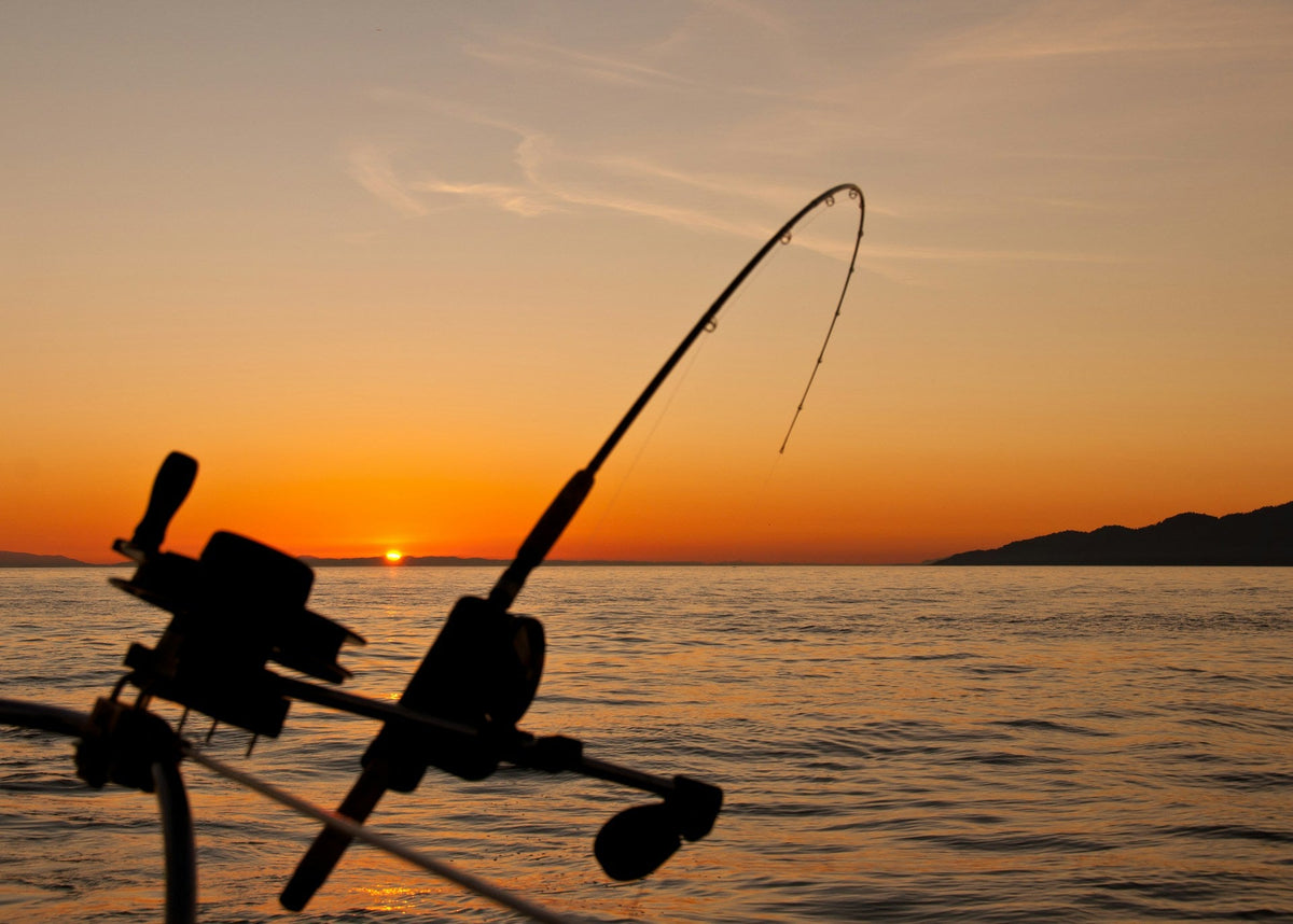 Fishing Supplies
