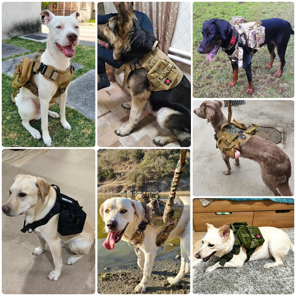 Tactical Dog Harness Leash Set For Large Dogs